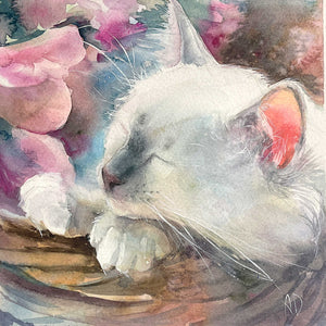 Sleeping Birman Cat Portrait
