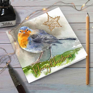 Christmas Robin - Christmas Greeting card