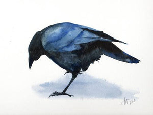 Art with Birds