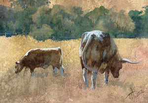 Country Landscapes
