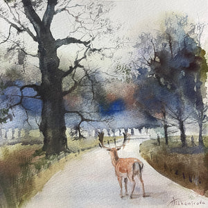 Richmond Park on a Winter Day