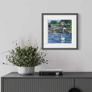 Swan on Blue Water, River Thames