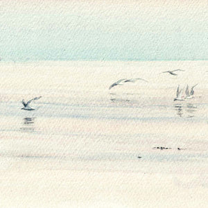 Seagulls Fishing