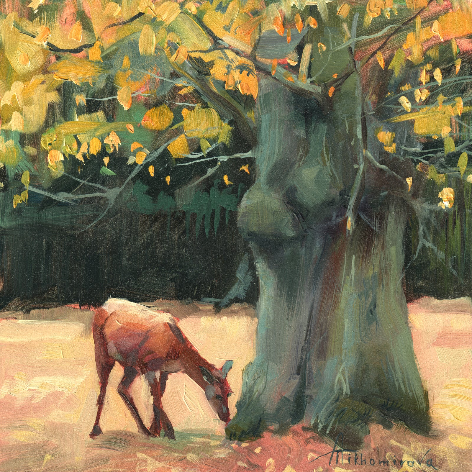 Autumn Young Deer in Bushy Park