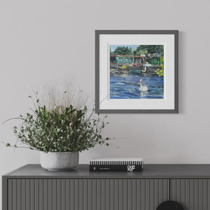 Swan on Blue Water, River Thames