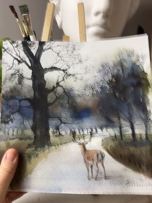 Richmond Park on a Winter Day