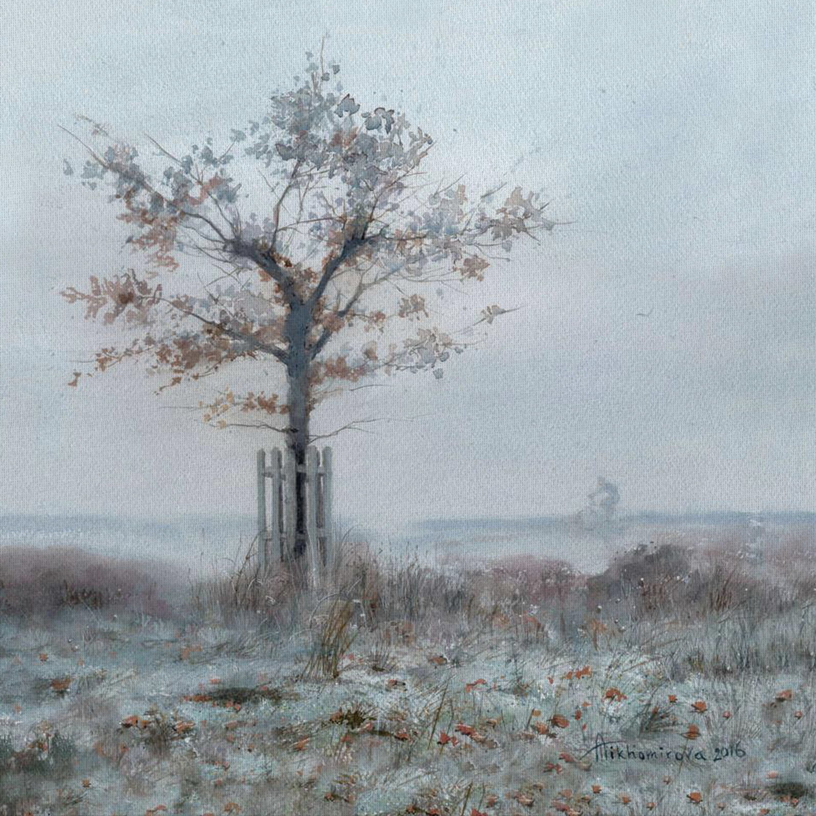 Frosty Dawn in Richmond Park canvas print 1x1m (smaller sizes also available)