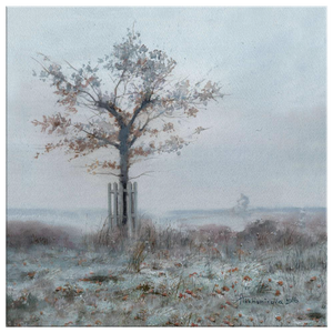 Frosty Dawn in Richmond Park canvas print 1x1m (smaller sizes also available)