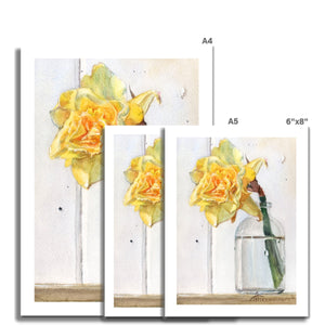 Darling Daffodil Paper Print