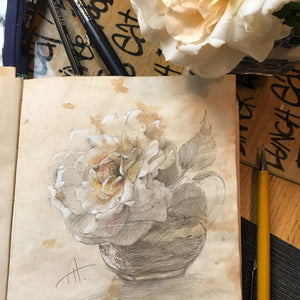 Antique Rose Drawing with Watercolour