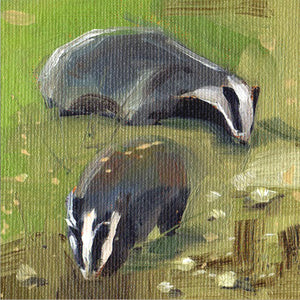 A Couple of Badgers