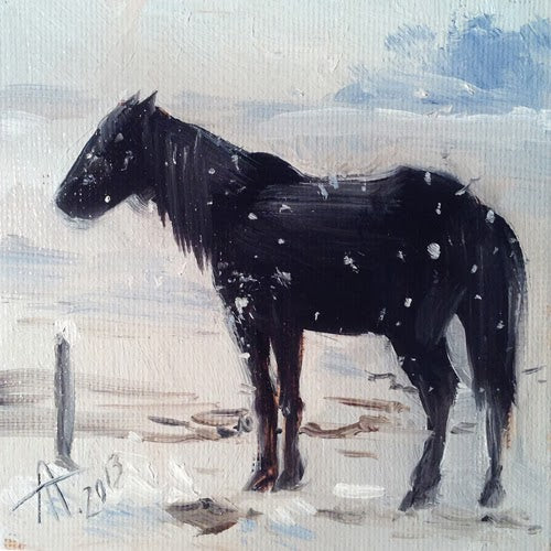 Black Horse in the Snow