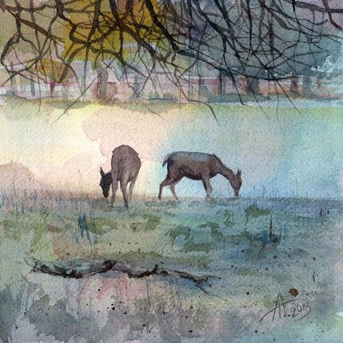 Morning in Bushy Park