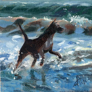 Dog in the Surf