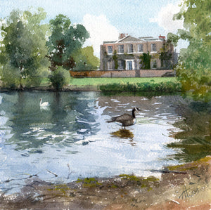 Goose and Swan at Ham Pond