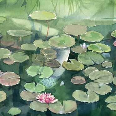 Lake King's daughter: Lily Pond in Twickenham