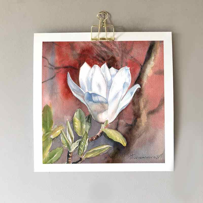 Magnificent Magnolia Hahnemühle German Etching Print