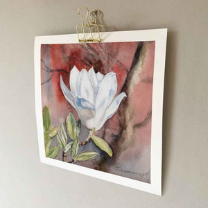 Magnificent Magnolia Hahnemühle German Etching Print