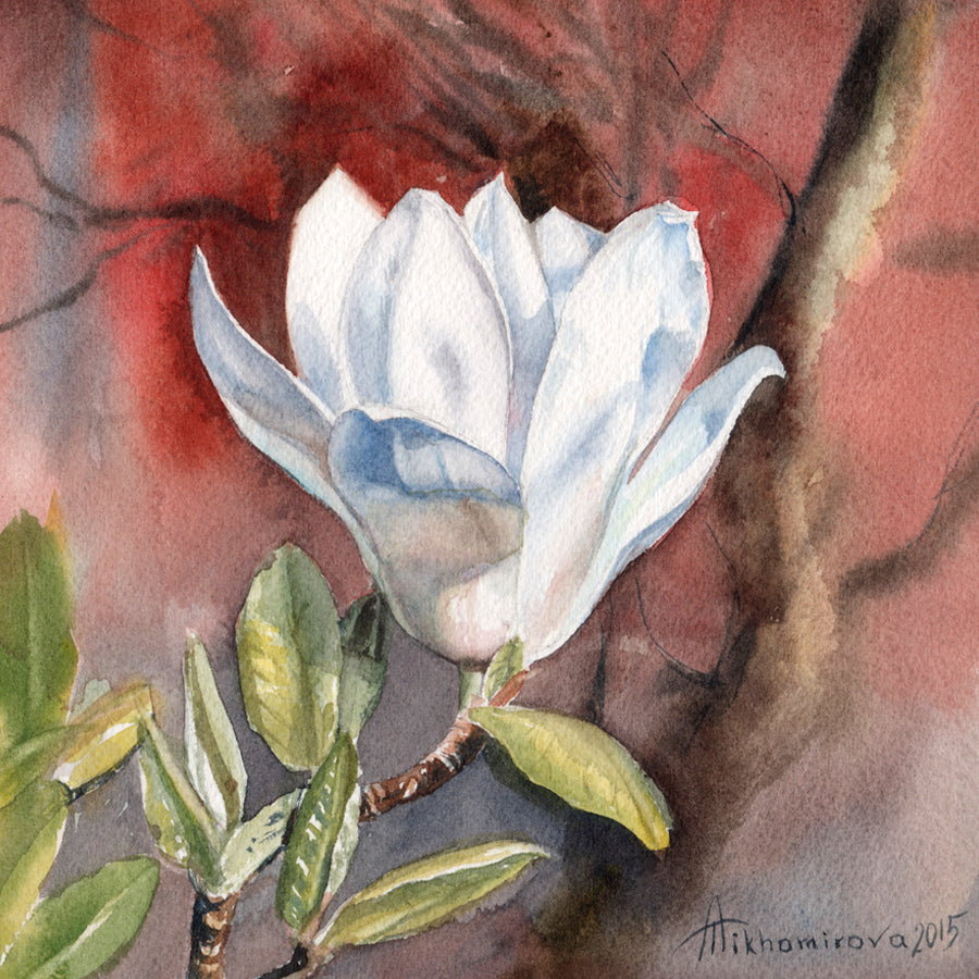 Magnificent Magnolia Hahnemühle German Etching Print