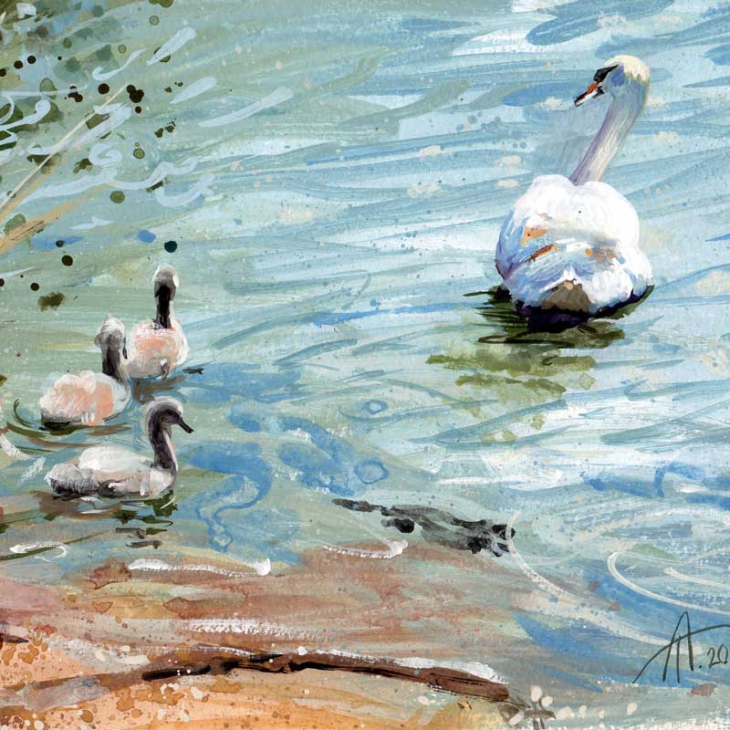 Swan Hatchings