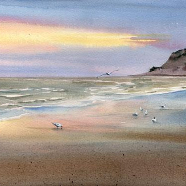 Seagulls at Sunset