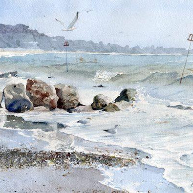 Seagulls over the Surf
