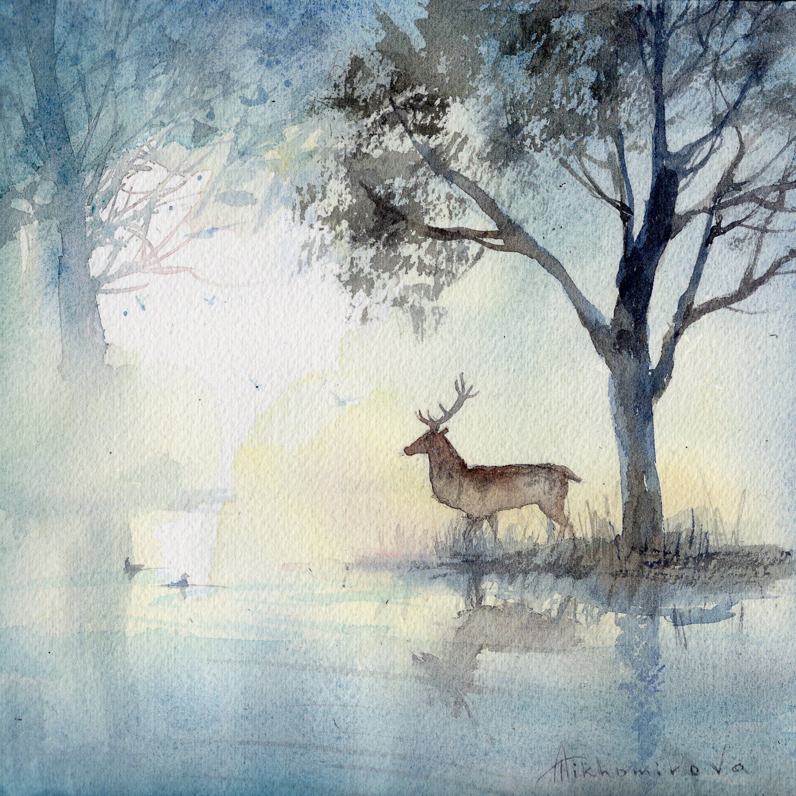 Stag by the Water In Richmond Park