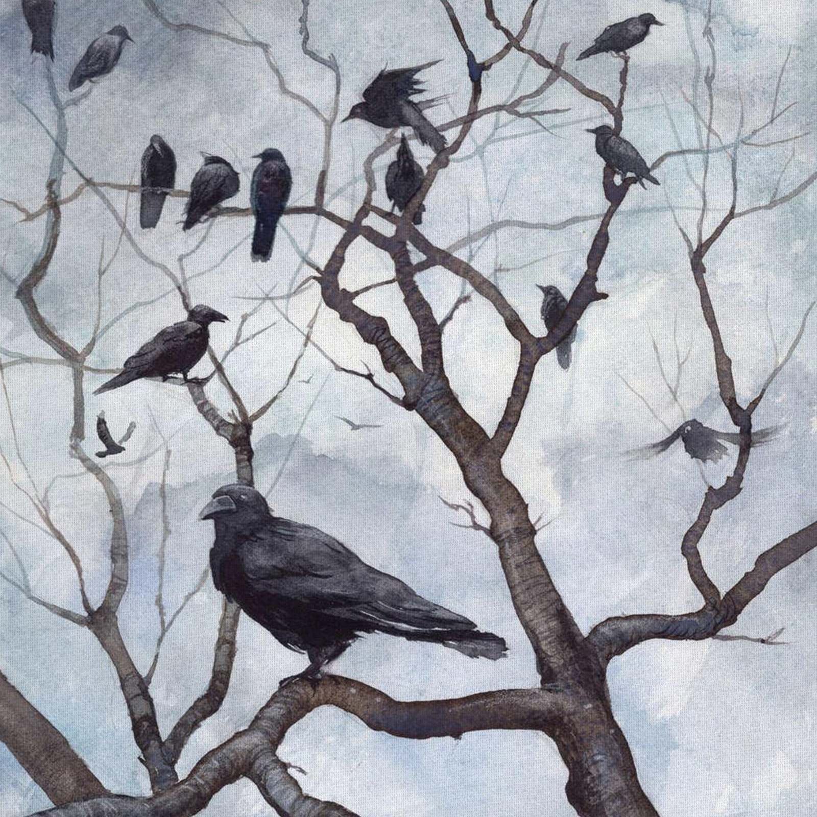 Murder of Crows