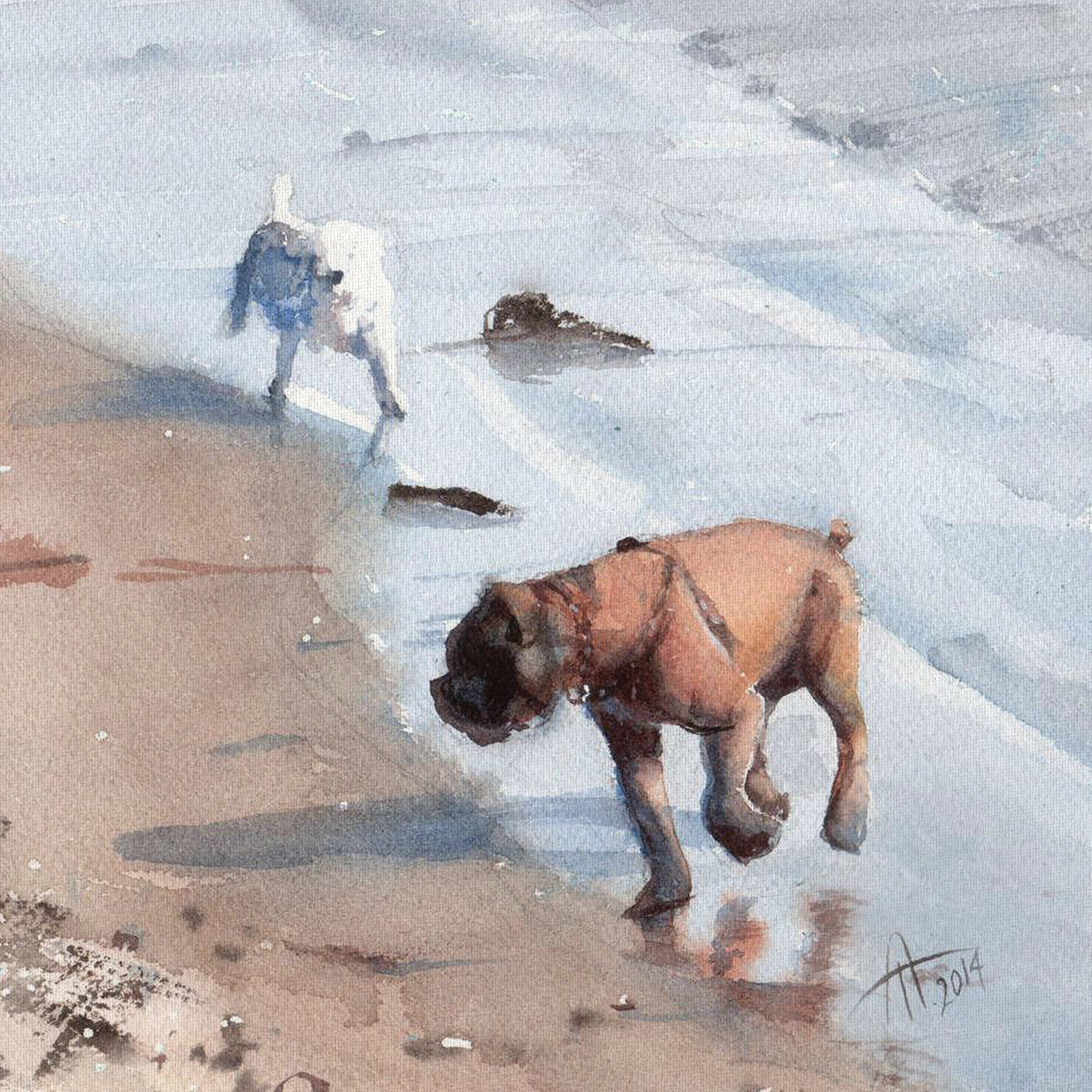 Dogs Run by the Seaside