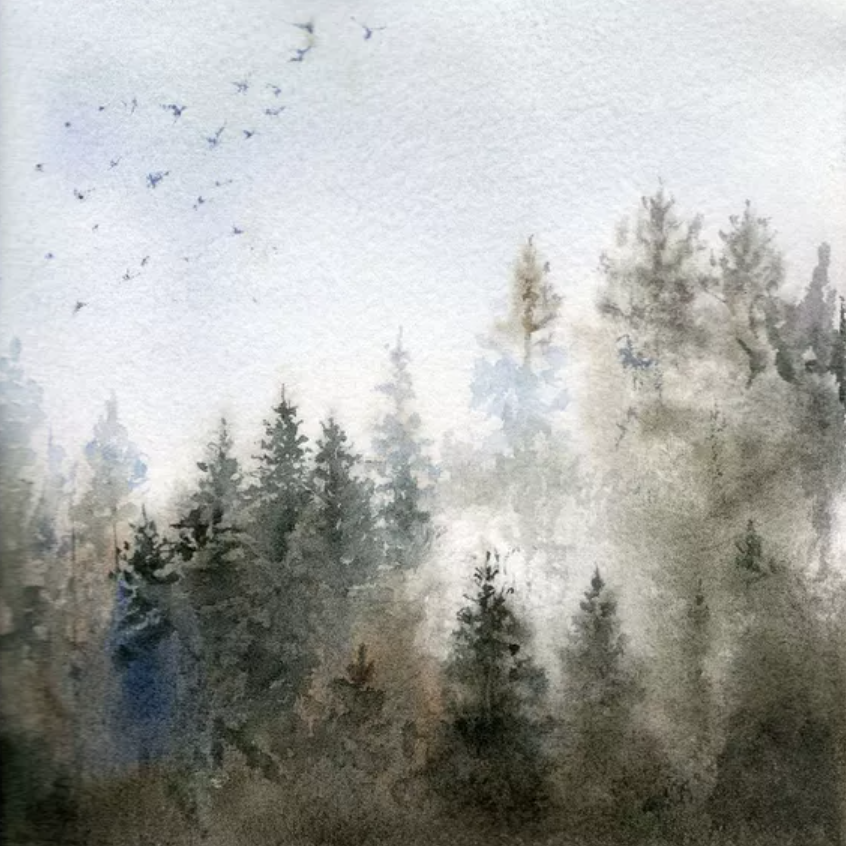 Misty Forest
