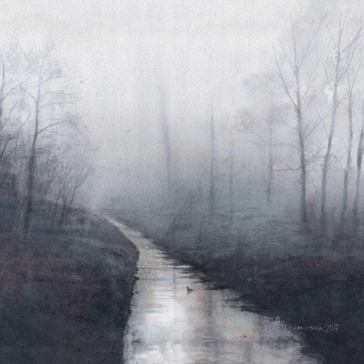 Forest Stream at Dawn Canvas Print