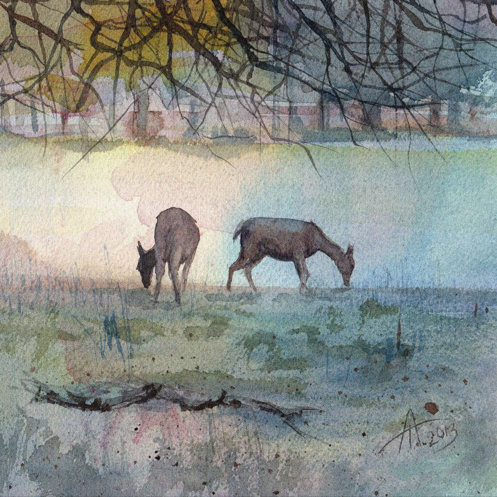 Deer in Bushy Park
