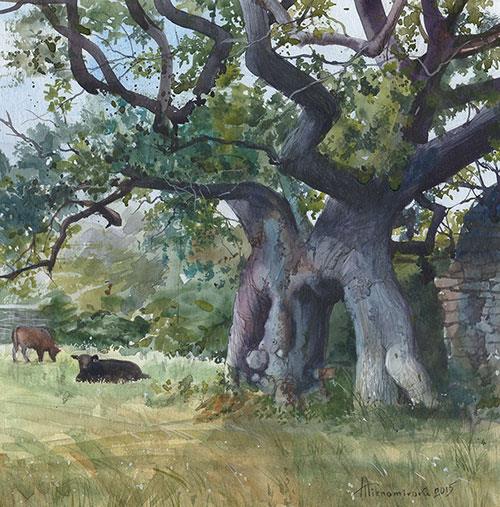 The Old Oak at Quarr Abbey